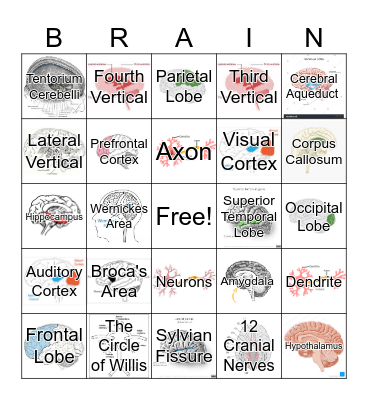 BRAIN-GO Bingo Card