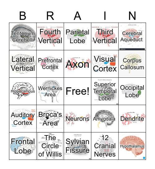 BRAIN-GO Bingo Card