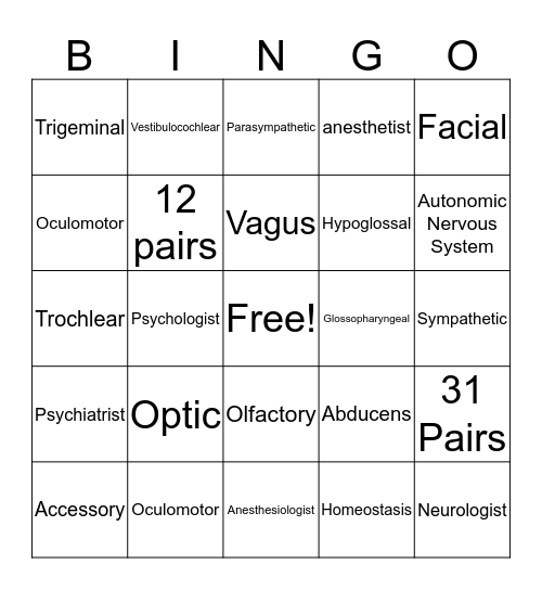 Ch 10 - Nervous - Peripheral Nervous System Bingo Card