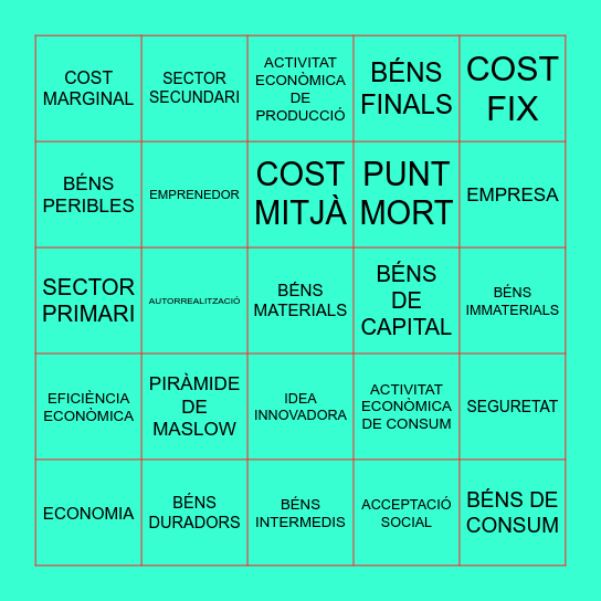 ECOQUINTO DE NADAL Bingo Card