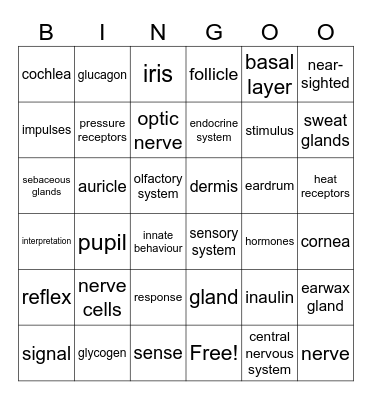 Perception, behaviour and regulation HAVO Bingo Card