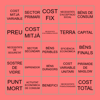 ECOQUINTO DE NADAL Bingo Card