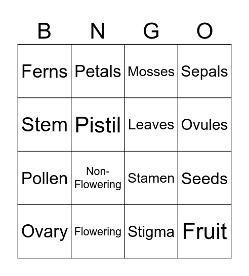 Plant Reproduction/ Types of Plants Bingo Card