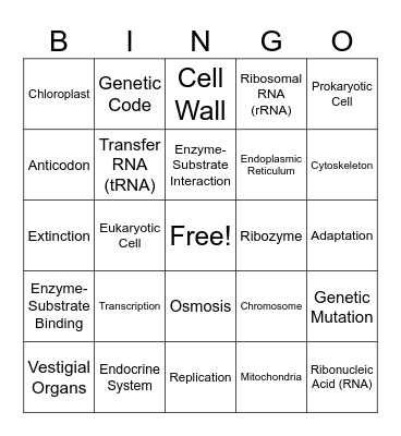 Tricky Biology Words Bingo Card