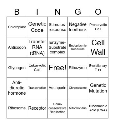 Biology Tricky Words Bingo Card