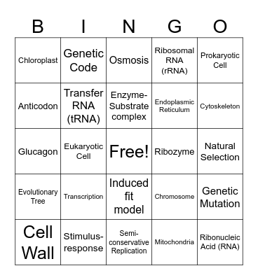 Biology Tricky Words Bingo Card
