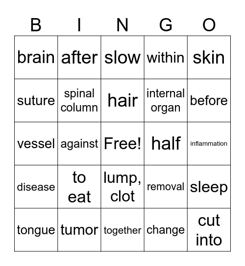 Careers In Medicine Bingo Card