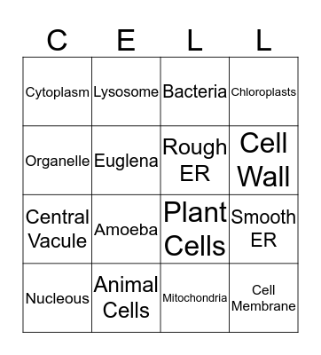 Cell Biology Bingo Card