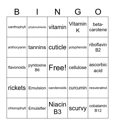 Chemistry of Foods - Salads Bingo Card