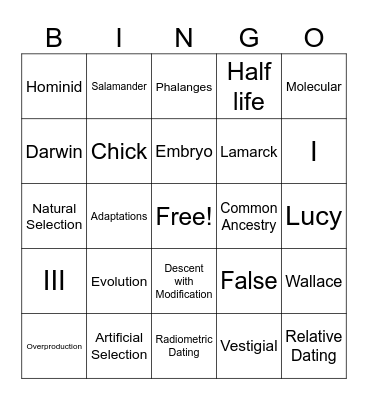 Evolution Bingo Card