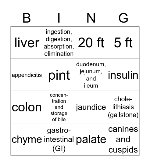 Digestive System Card 1 Bingo Card