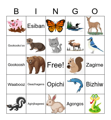 Animal Picture Bingo Card