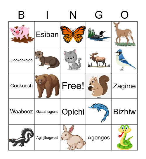 Animal Picture Bingo Card
