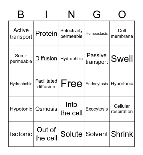 Osmosis Bingo Card