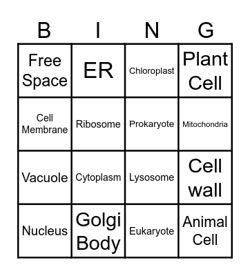 Organelle Function Bingo Card