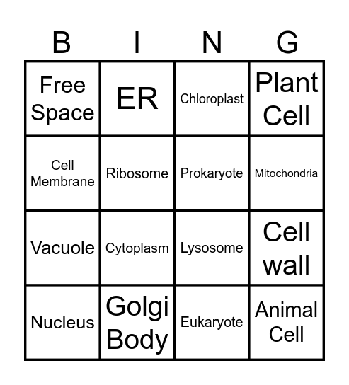Organelle Function Bingo Card