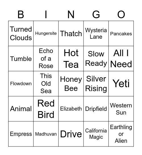 Goose Europe Tour ‘23 Bingo Card