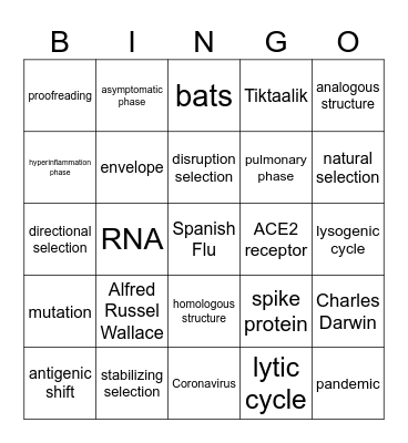 COVID 19 Bingo Card
