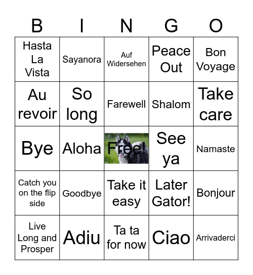 Goodbye Jesse! Bingo Card