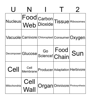 iLEAP Practice 1 Bingo Card