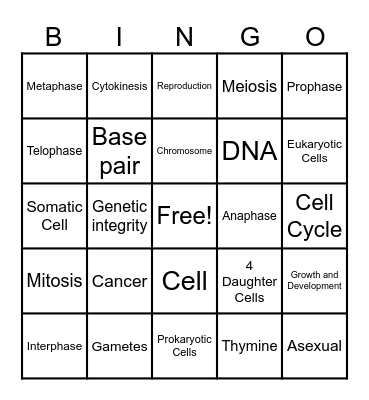 Mitosis Bingo Card