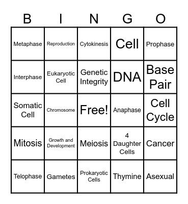 Mitosis Bingo Card