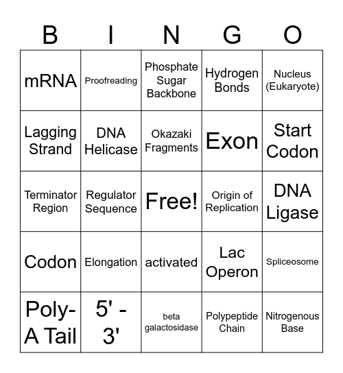 Exam 3 Bingo Card