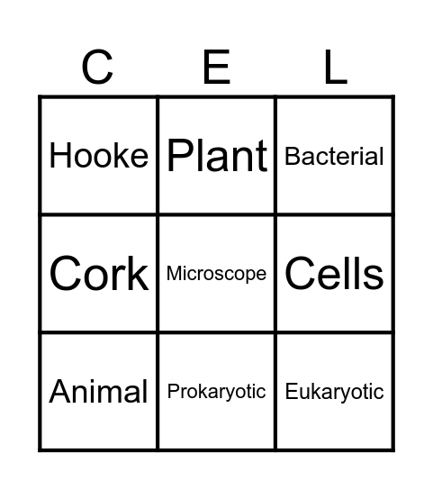 Cell Theory Bingo Card