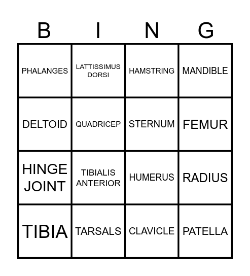 Human Anatomy Bingo Card