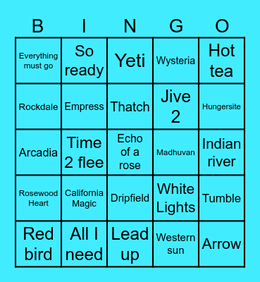 Euro-Goose N1 Bingo Card