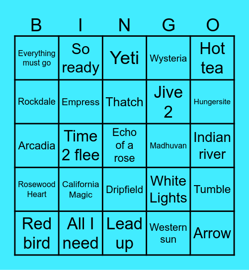 Euro-Goose N1 Bingo Card