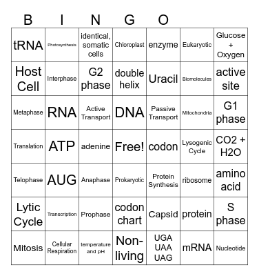 Biology 2nd 6 Weeks Review (Biomolecules, Enzymes, Photosynthesis, Cell Transport, Virus) Bingo Card