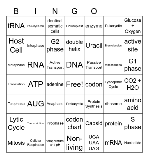 Biology 2nd 6 Weeks Review (Biomolecules, Enzymes, Photosynthesis, Cell Transport, Virus) Bingo Card