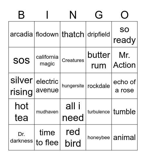 Goose Euro tour Bingo Card