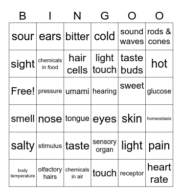 Senses Bingo Card