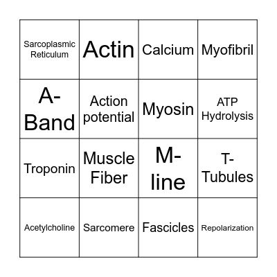 Muscle Excitation/Contraction Bingo Card