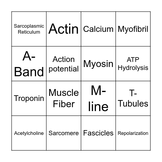 Muscle Excitation/Contraction Bingo Card