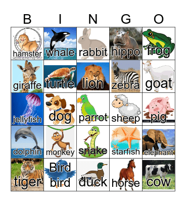 Animals Bingo Card