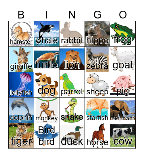 Animals Bingo Card