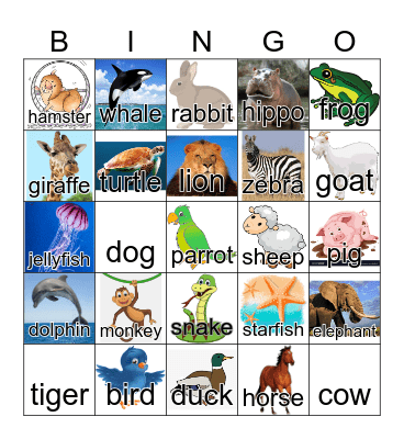 Animals Bingo Card