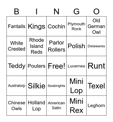 Small Animal Bingo Card