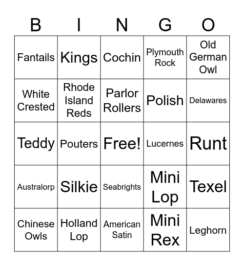 Small Animal Bingo Card