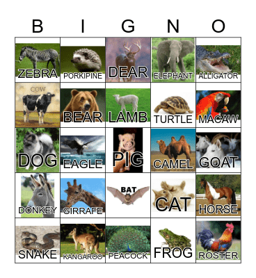 ANIMAL Bingo Card