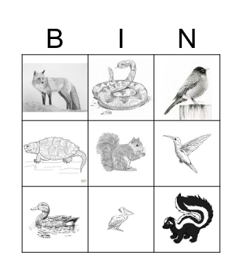 U.S. Animal Bingo Card