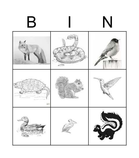 U.S. Animal Bingo Card