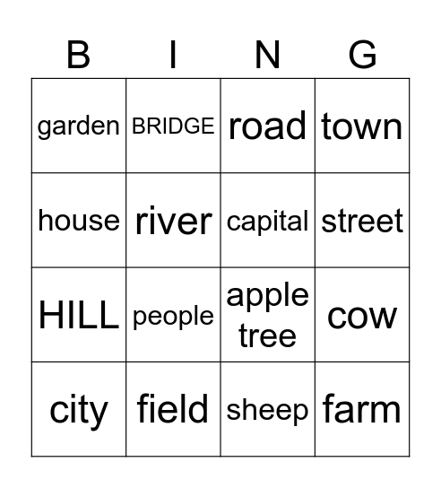 COUNTRY Bingo Card