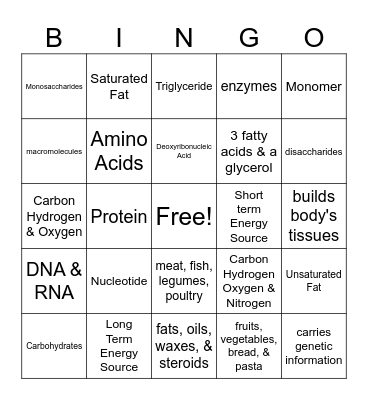 Macromolecule Bingo Card