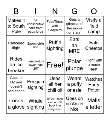 Antarcti-Cat 🐱 Bingo Card