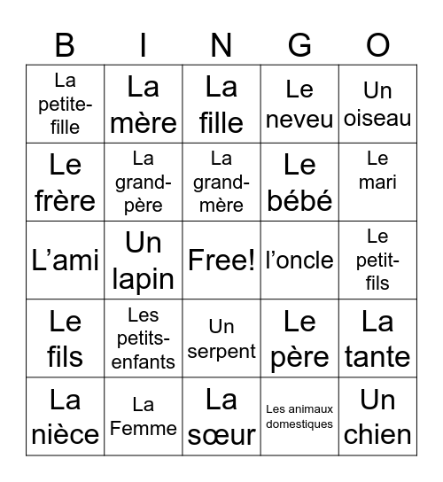 La Famille Vocabularie Bingo! Bingo Card