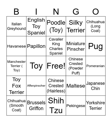 TOY BREED BINGO Card